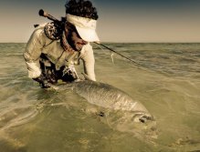 A nice GT sight fished on fly. Hooked on a flat while wading, a very powerfull fight!