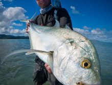 A trophy Brassy Trevally caught by my friend Seb. This tailing fish was a very exciting experience