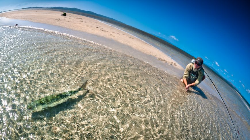 The release of a big bone in shallow water. This one was a very good fighter, more than 90m of backing out!