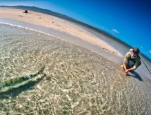 The release of a big bone in shallow water. This one was a very good fighter, more than 90m of backing out!