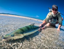 A nice bone hooked in shallow water in perfect weather condition. Sight fishing at its best