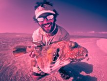 A psychedelic Box fish sight fished in shallow water