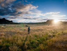 Long walk to the car in the golden hour... NZ