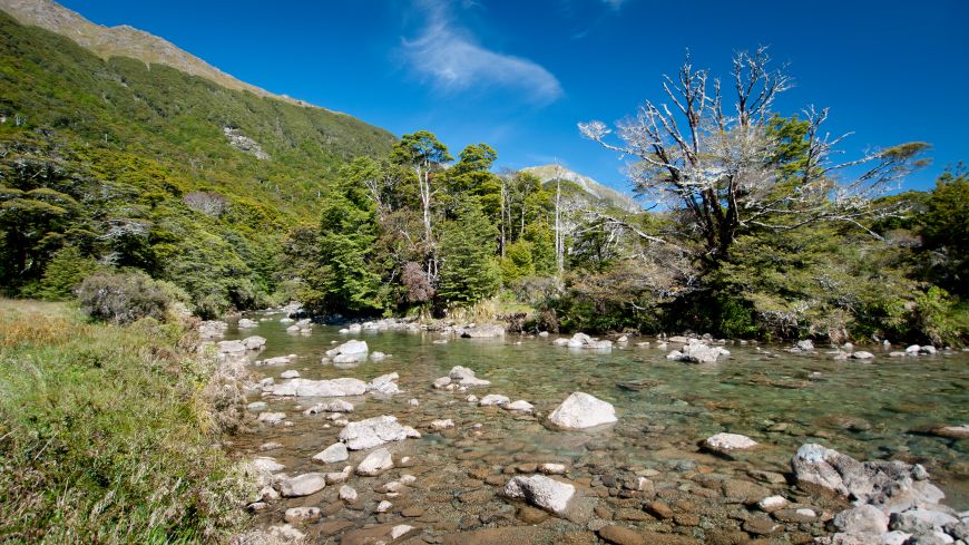 Gin clear water in this river with easy fish. We have hooked all the fish that we have see ;-)