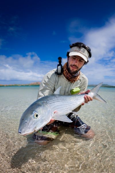 A big bone with a massive head, one of my biggest yet. This one got an uncommon blue color without strip