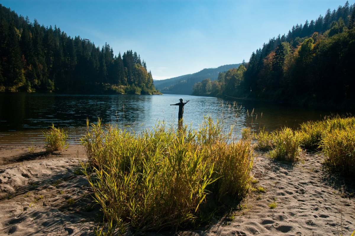 Fly Fisherman casting