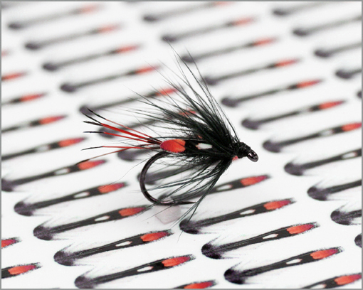 JC Wet Fly