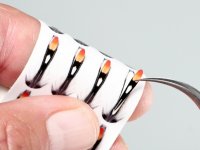 Nhraka za Jungle Cock