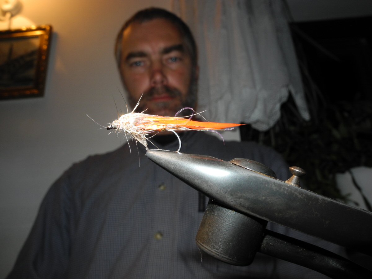 The shape how the fish will see it