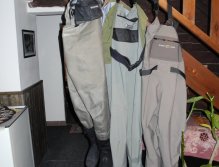 Waiting for their masters