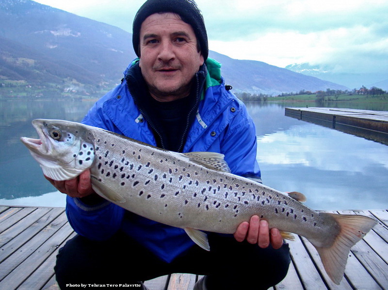 Lake Trout from Plav's Lake