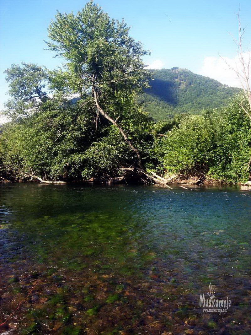 Lim River, Fly only section