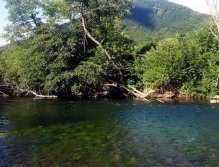 Lim River, Fly only section