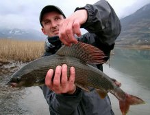Grayling 52 cm from Lim River