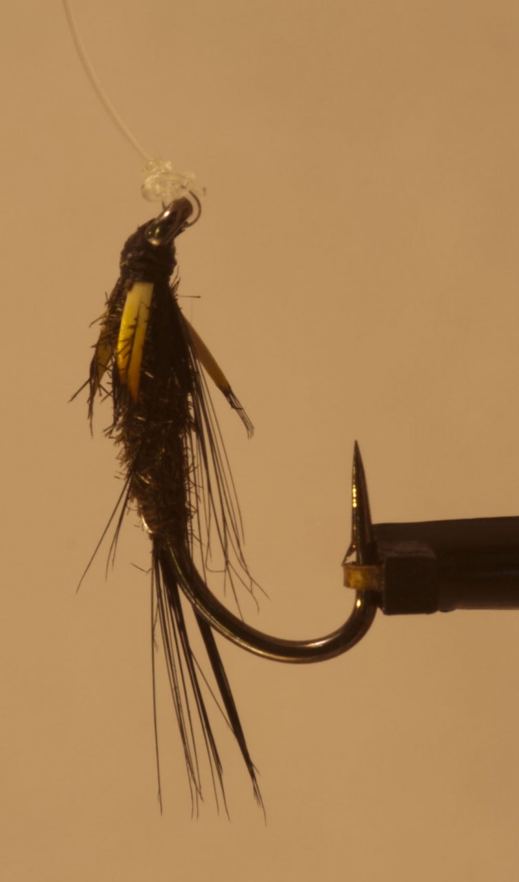 A small Diawl Bach to give the fish a choice