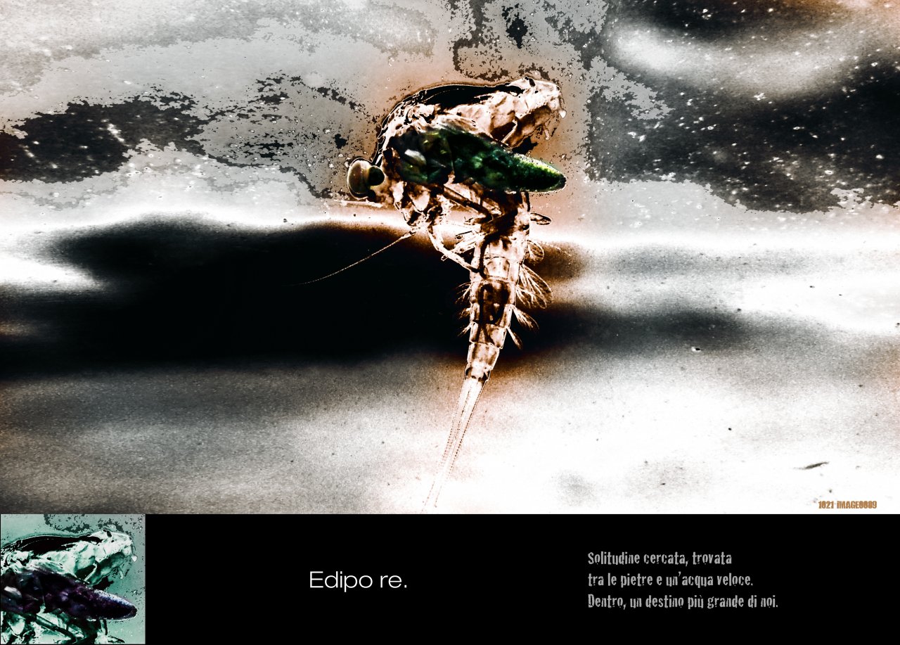 Oedipus the King.  Solitude sought, found. Among the stones and fast water. Inside, a destiny greater than ourselves