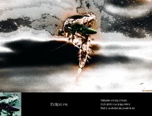 Oedipus the King. Solitude sought, found. Among the stones and fast water. Inside, a destiny greater than ourselves