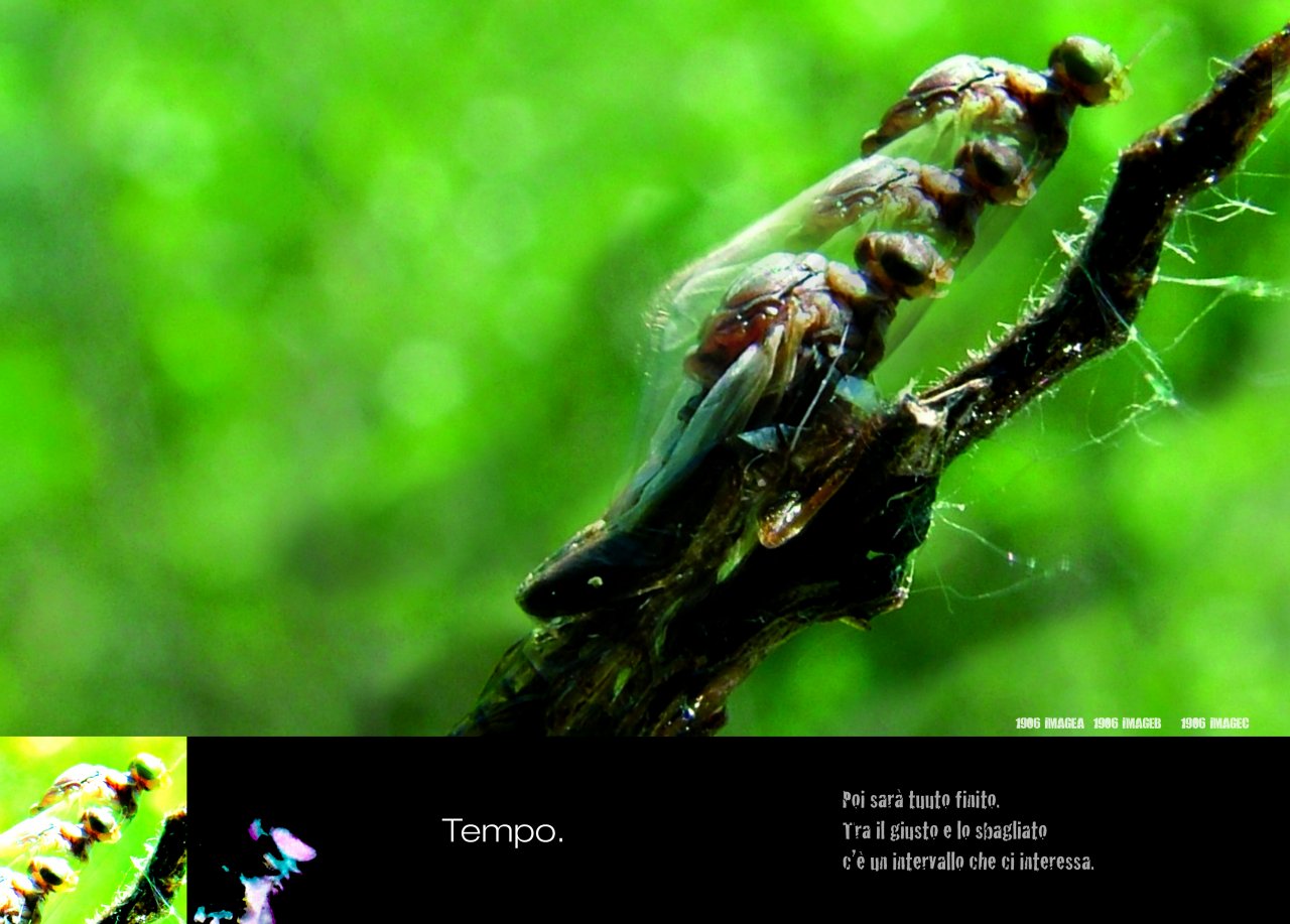 TIME. Then all will be over. Between the right and the wrong there is a range that interests us