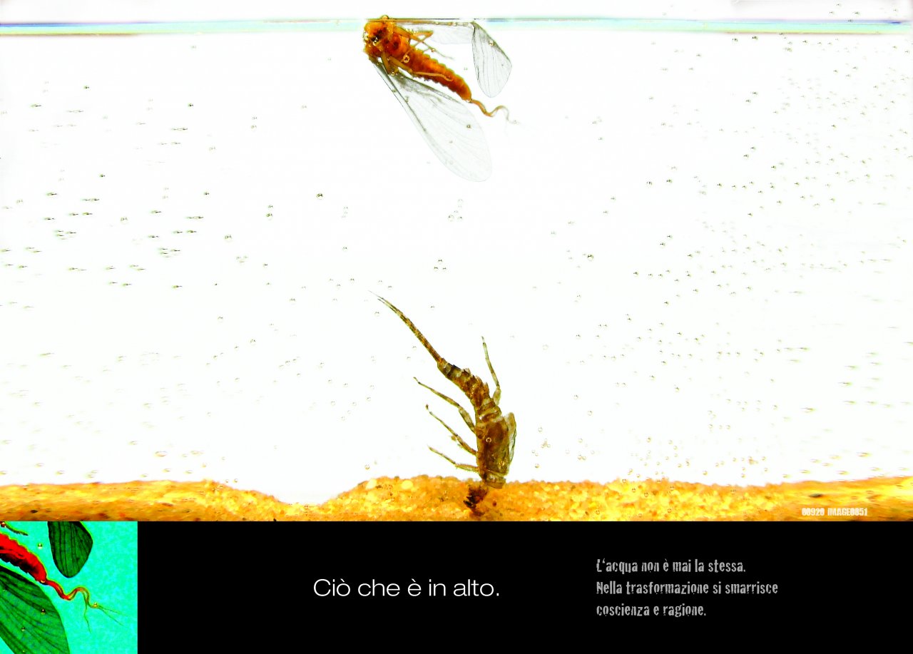 THIS IS ABOVE. The water is never the same. Methamorphosys ... in the transformation you lose consciousness and reason