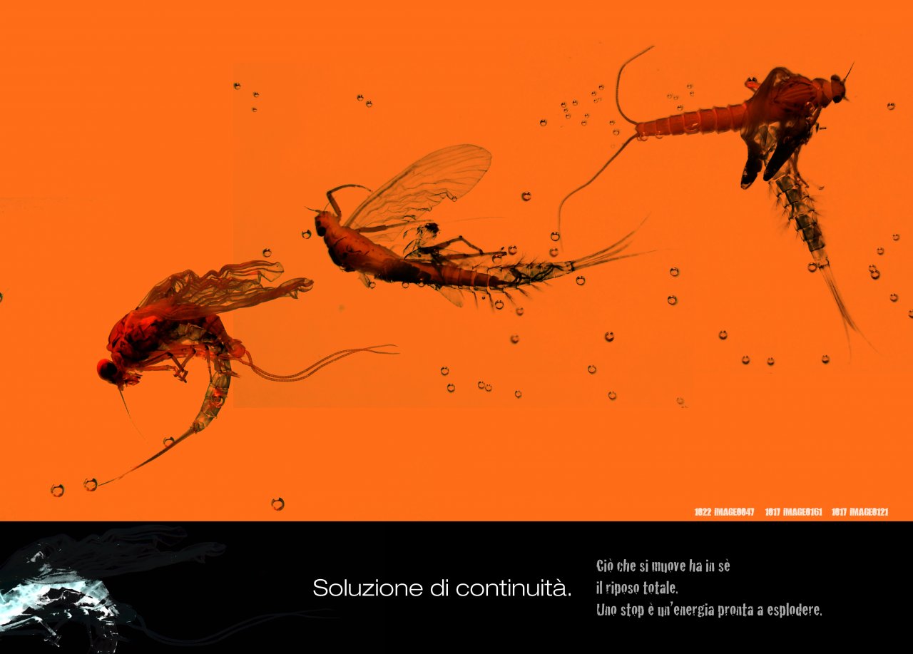 SOLUTION OF CONTINUITY. What moves has inside total relaxation. A stop is an energy ready to explode