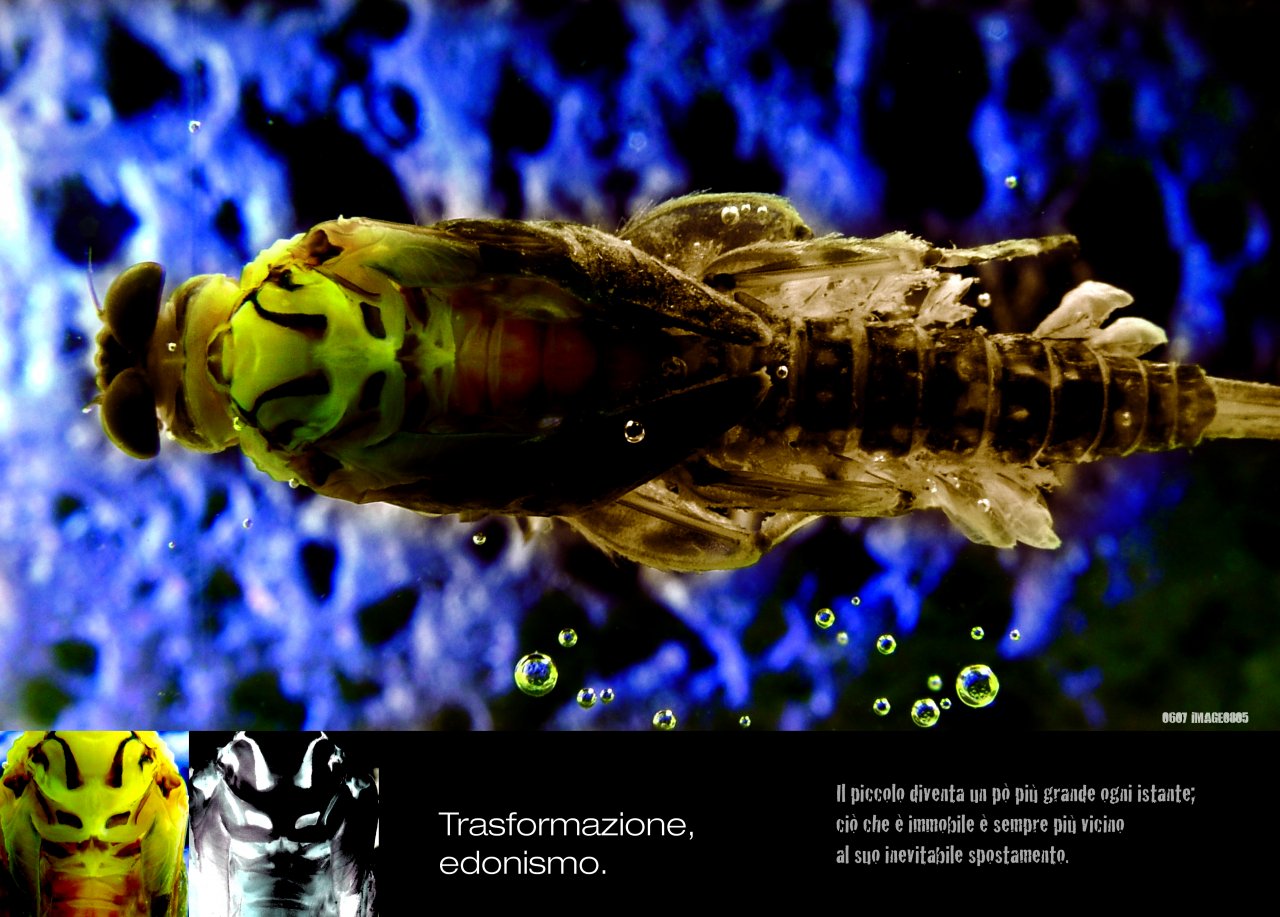 TRANSFORMATION, HEDONISM. That which is mall becomes a little larger by the instant and that which is immobile even closer to it�s inevitable movement