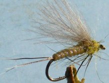 Fly Cavero (rokafly)