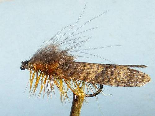 Mallard Caddis (rokafly)