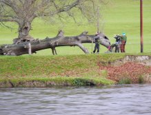 Sunday tactic discussion