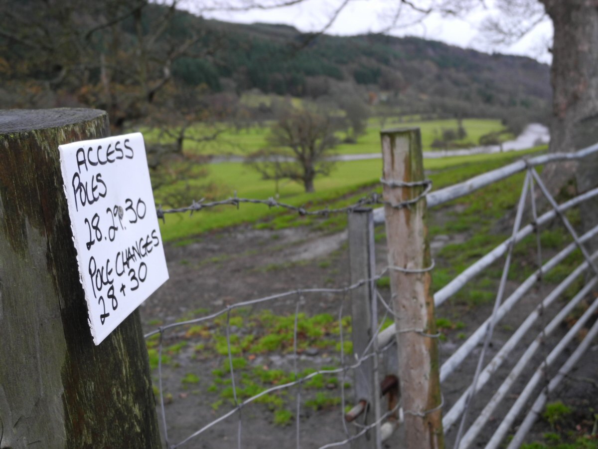 Salmon's territory nearby