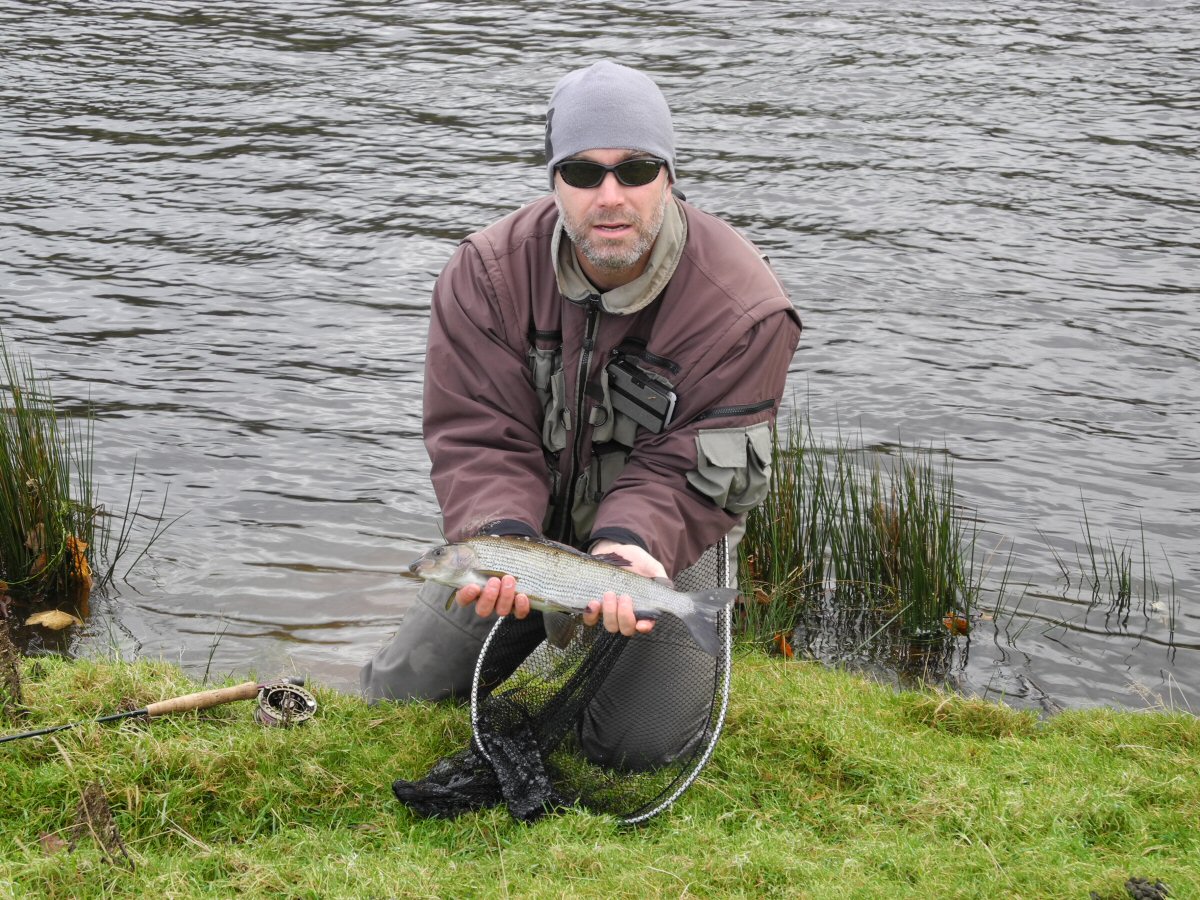 Grayling from Dee below Bala