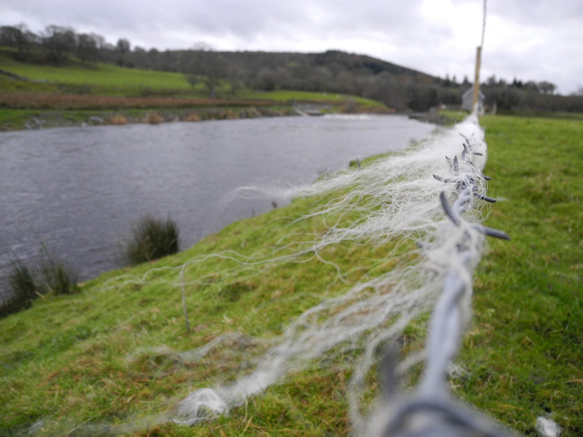 Do not test you waders here...