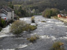 Grayling Festival 2011 - obrzkov galerie