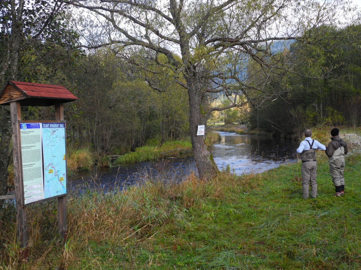 Upper Vltava near Lenora