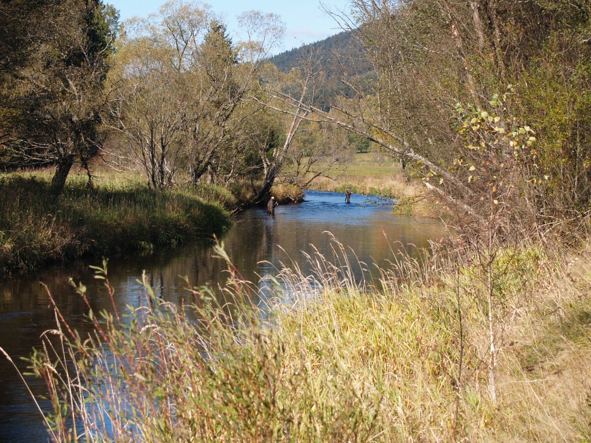 Other fellow fly fishermen