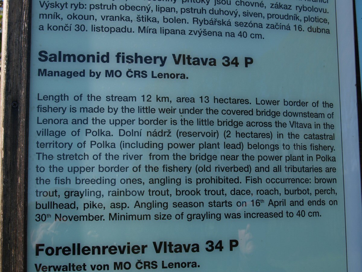 All you need to know about the river