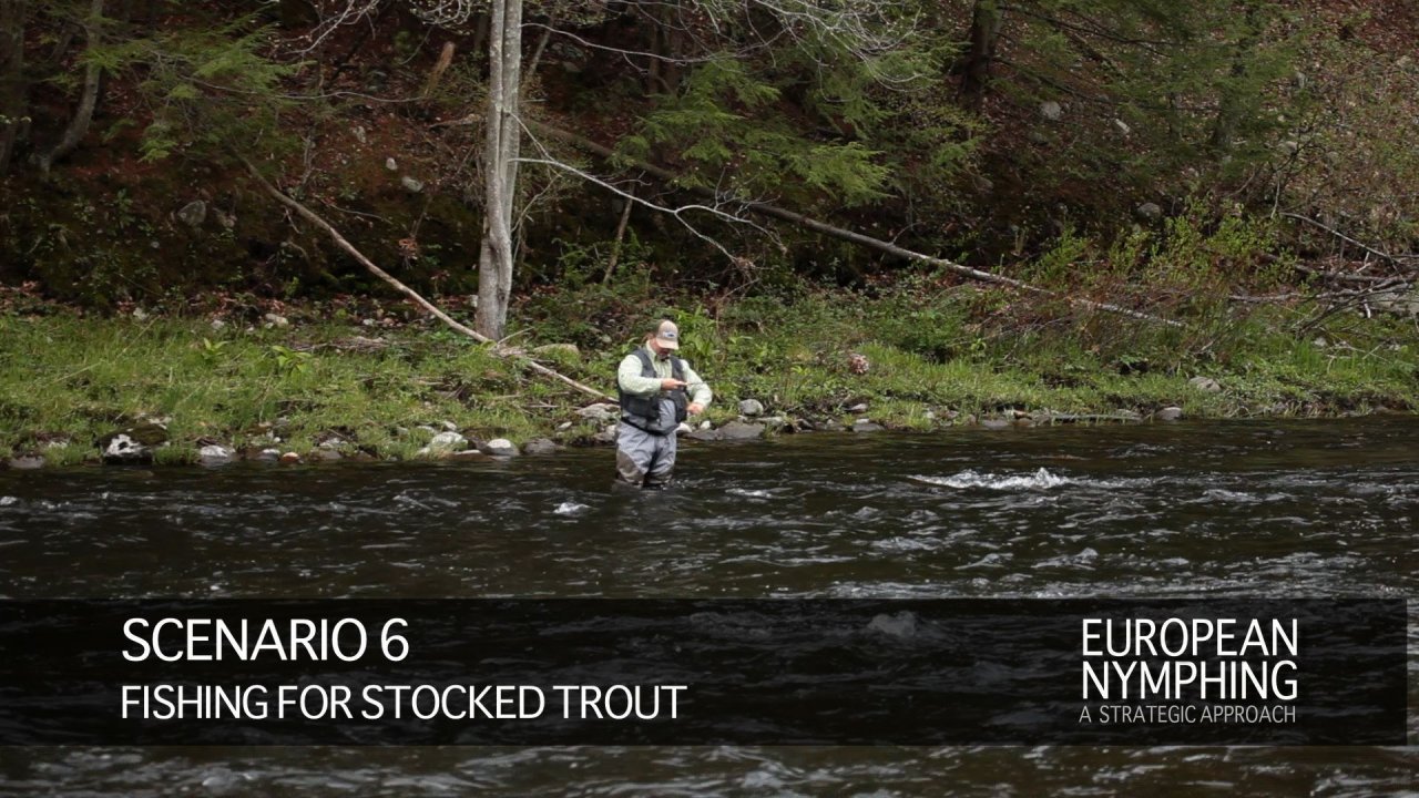 Great segment introductions remind you of which segment you are viewing