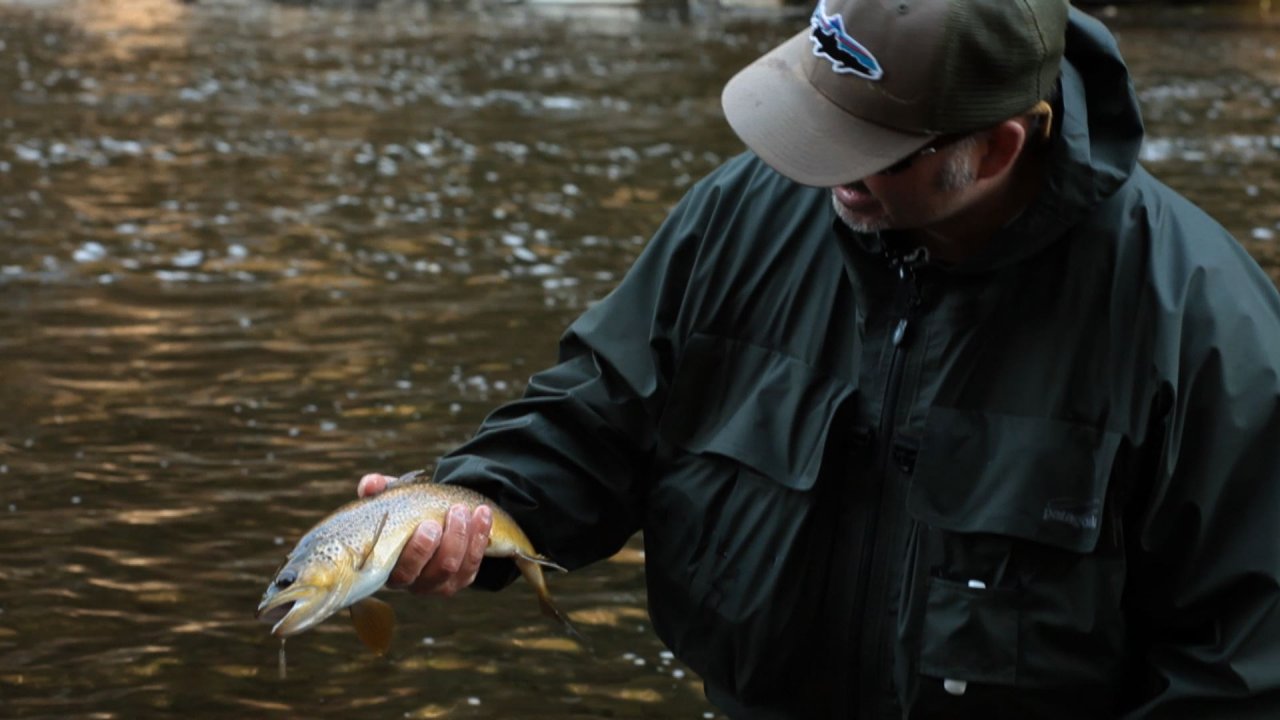 Another great fish. This video is loaded with actual fish. You will clearly believe the fish location claims as a location is illustrated with the catching of a fish