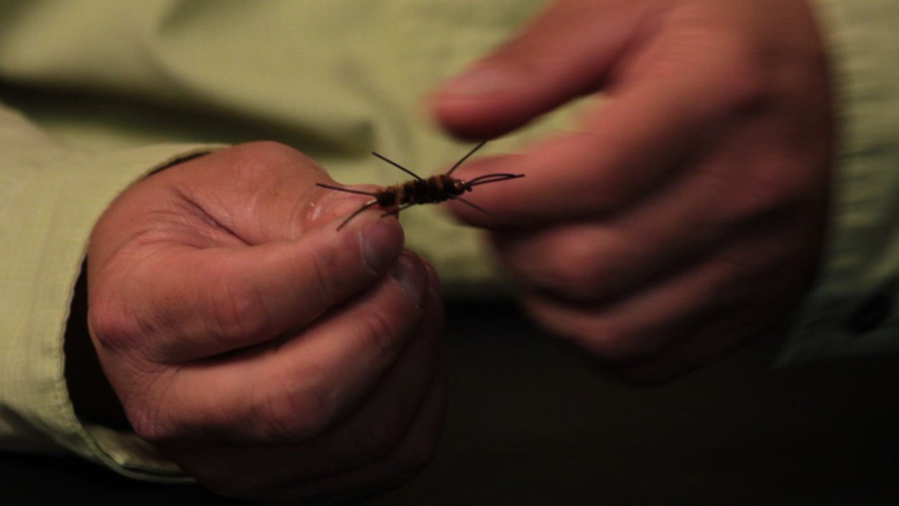 Fly selection for each scenario is illustrated