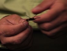 Fly selection for each scenario is illustrated