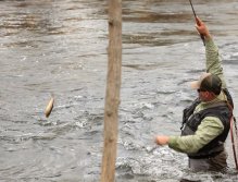 There is no shortage of fish catching action