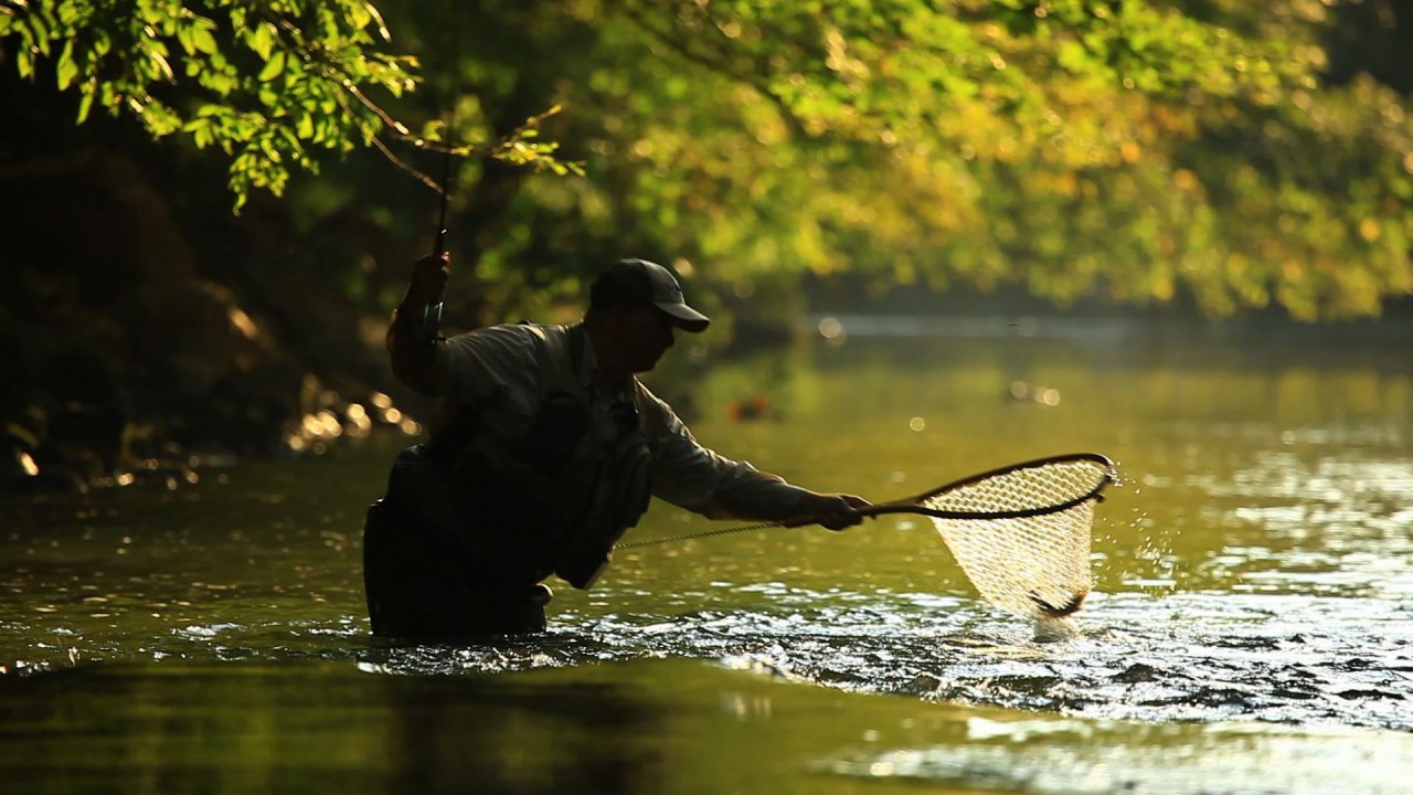 Beautiful local American streams are on display with top quality camera work