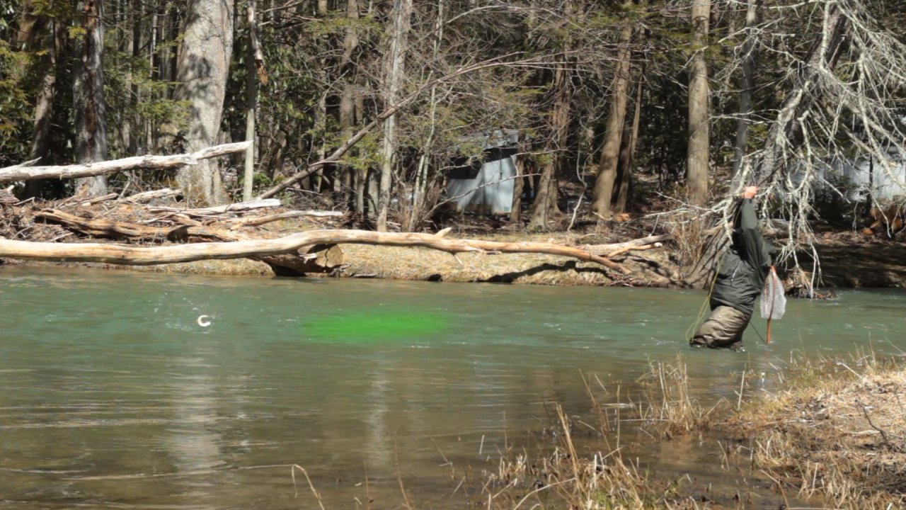 Aaron illustrates some high water fish lies