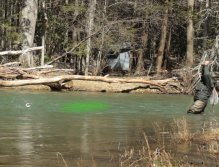 Aaron illustrates some high water fish lies