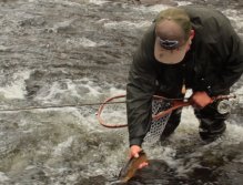 Aaron releasing a beautiful wild brown trout