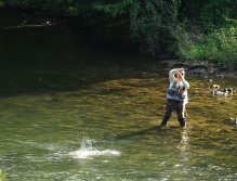 Aaron illustrating fighting techniques in a local spring creek. All segments were filmed in public water and no scenarios were *set up*