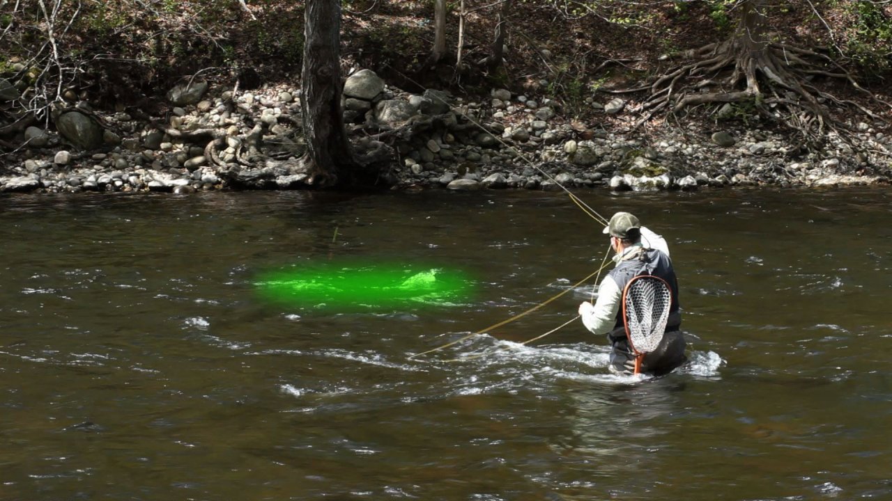 Aaron pin pointing fish lies