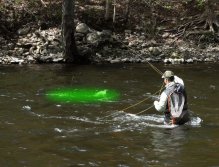 Aaron pin pointing fish lies