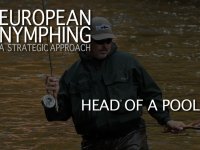 European Nymphing II