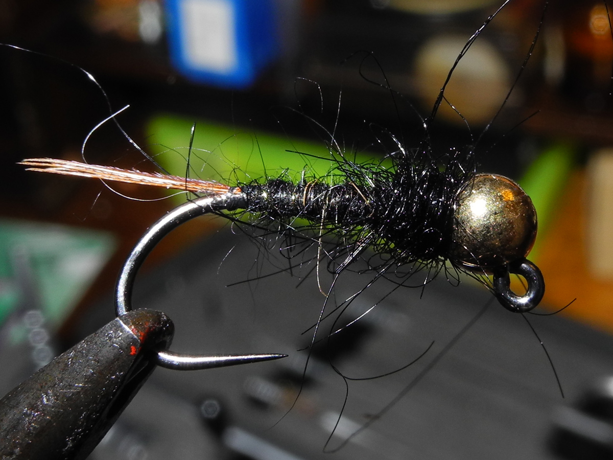 Black Jig