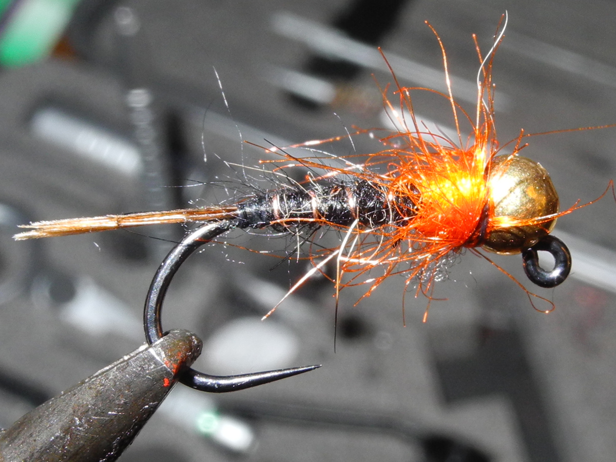 Black Jig